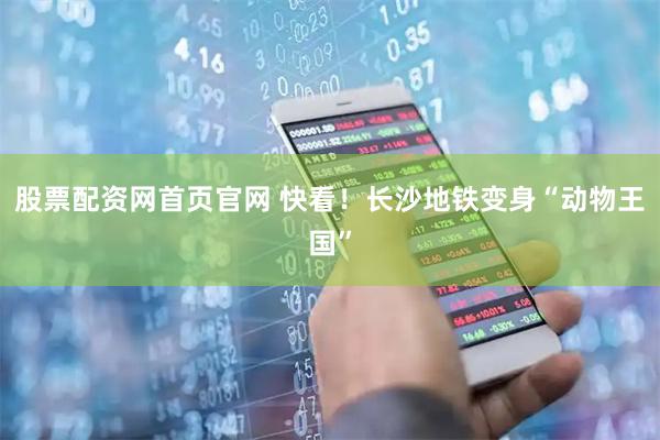 股票配资网首页官网 快看！长沙地铁变身“动物王国”