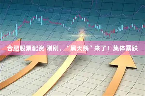 合肥股票配资 刚刚，“黑天鹅”来了！集体暴跌