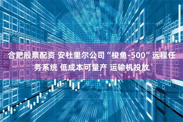 合肥股票配资 安杜里尔公司“梭鱼-500”远程任务系统 低成本可量产 运输机投放