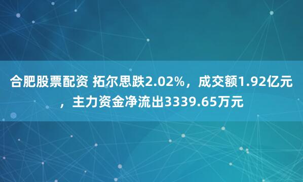 合肥股票配资 拓尔思跌2.02%，成交额1.92亿元，主力资金净流出3339.65万元